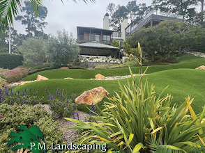 Sloped Hillside Planting